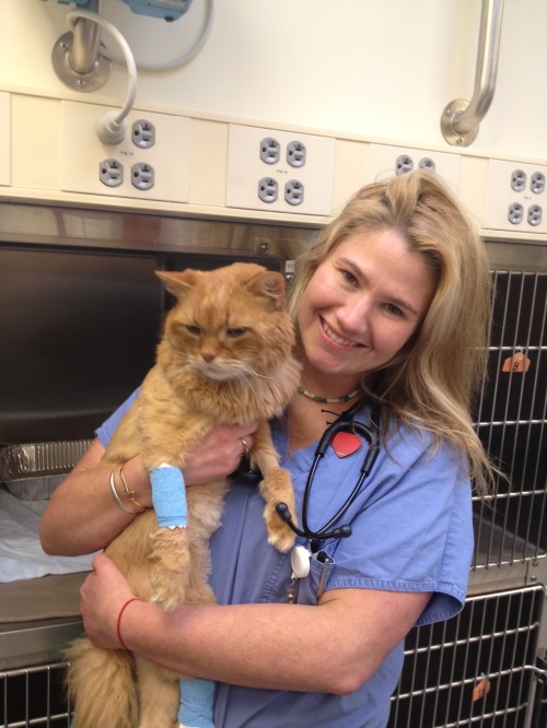 dr. bucknoff with a courageous feline friend